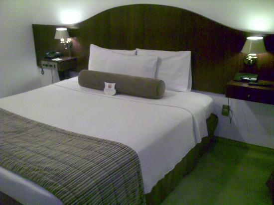 Hotel Anaca Sao Carlos المظهر الخارجي الصورة